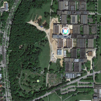 Google-map-genetic