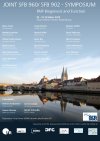 Joint Sfb Symposium 2013