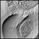 Bild01