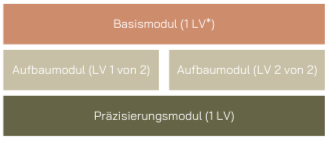 Aufbau Zusatzstudium Genderkompetenz. Es zeigt die einzelnen Module: Eine Veranstaltung im Basismodul, zwei Veranstaltungen im Aufbaumodul und eine Veranstaltung im Präzisierungsmodul