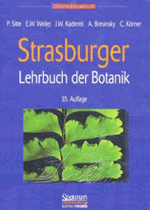 Strasburger