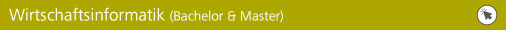 Wirtschaftsinformatik (Bachelor und Master)