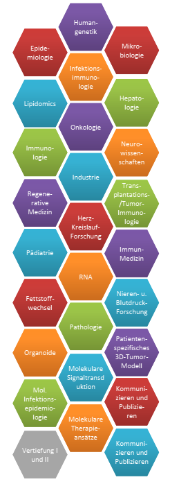 Grafische Darstellung der Labore mit link zur pdf-Datei