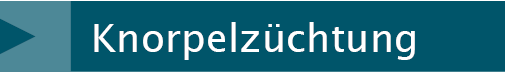 Knorpelzüchtung