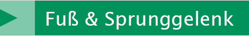 Link Fuß und Sprunggelenk