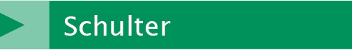 Link Schulter