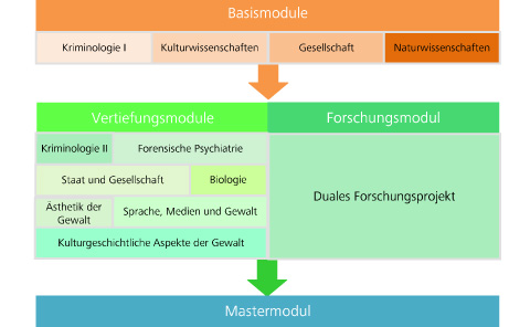 Masterverlauf