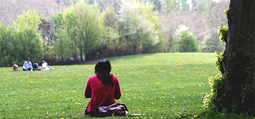 Studierende sitzen im Gras am Campus der Universität Regensburg