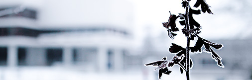 Anschnitt Winter Ar- 39_