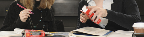 Externe-buch