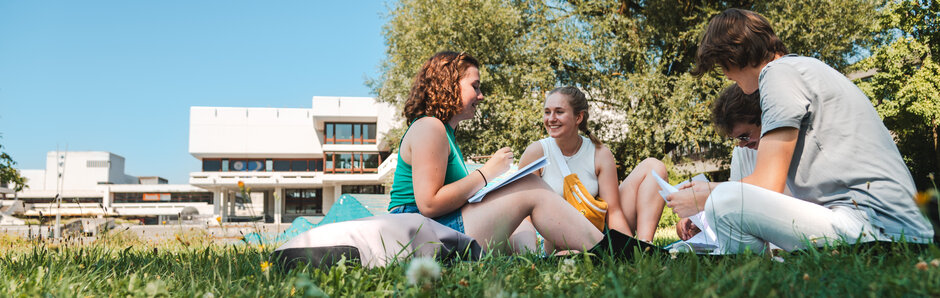 Eine Gruppe Studierender sitzt an einem Sommernachmittag zusammen auf einer grünen Wiese am Campus. 
