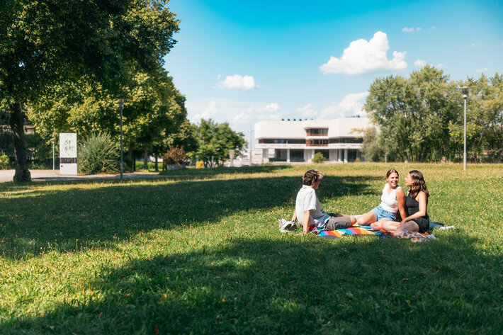 Eine Gruppe Studierender im Sommer auf einer Picknickdecke am Campus. Im Hintergrund ist die Zentralbibliothek zu sehen. (öffnet Vergrößerung des Bildes)