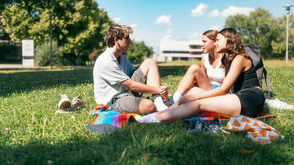 Studierende sitzen zusammen auf einer Picknickdecke auf einer Wiese am Campus der Universität Regensburg.