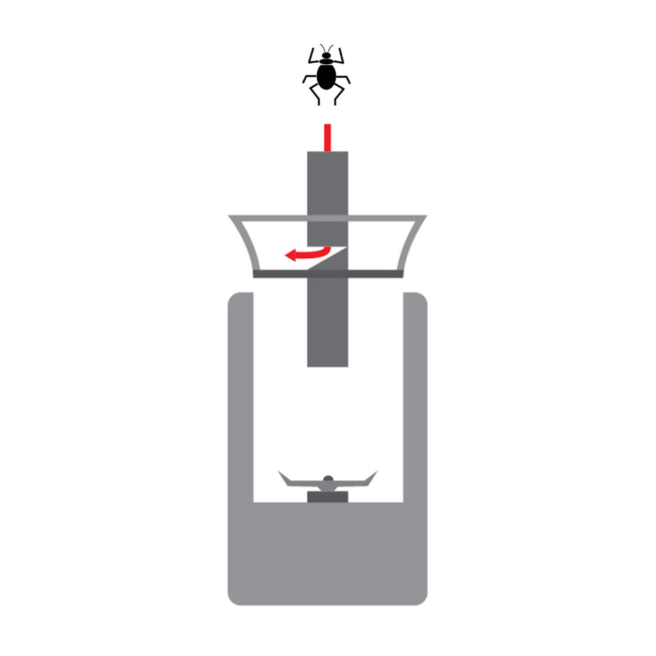 Schematische Darstellung eines Experiments: Ein Käfer rutscht von oben durch einen Zylinder in eine Kaffeemühle; er kommt jedoch nicht mit dem Schneidwerkzeug der Kaffemühle in Kontakt, sondern verlässt den Zylinder in sicherem Abstand dazu unbeschadet.