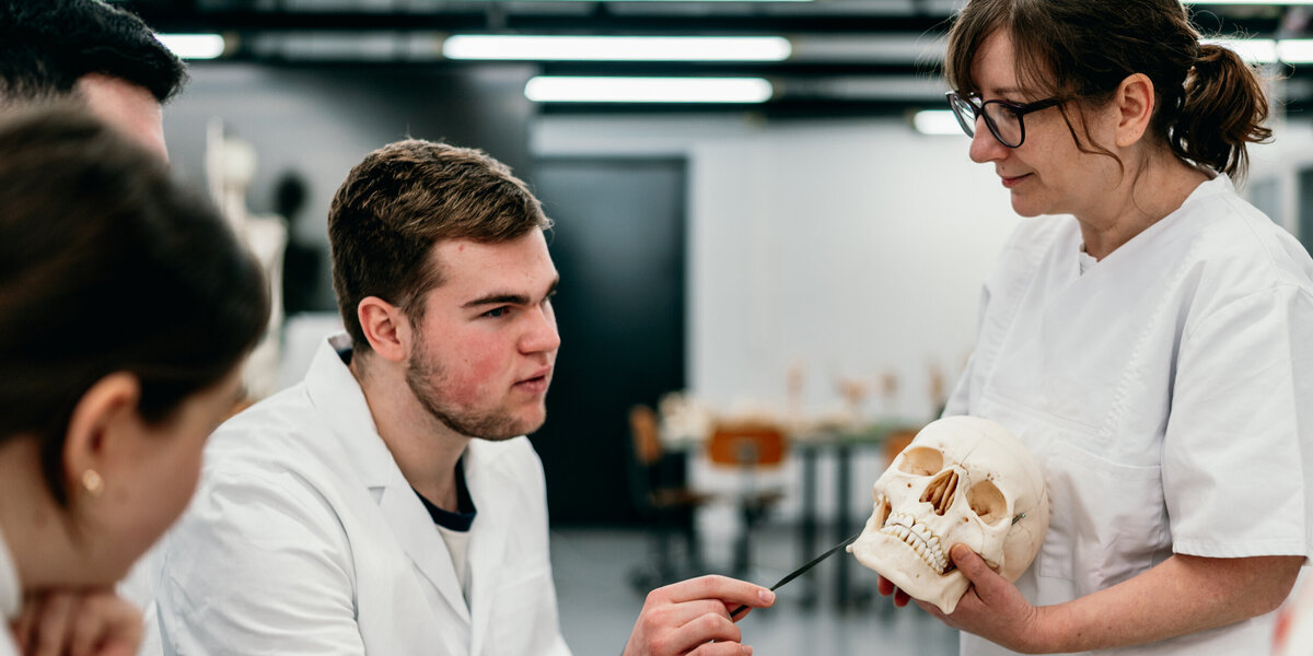 Studierende im weißen Kittel besprechen mit ihrer Dozentin den Aufbau eines menschliichen Schädels anhand eines Modells