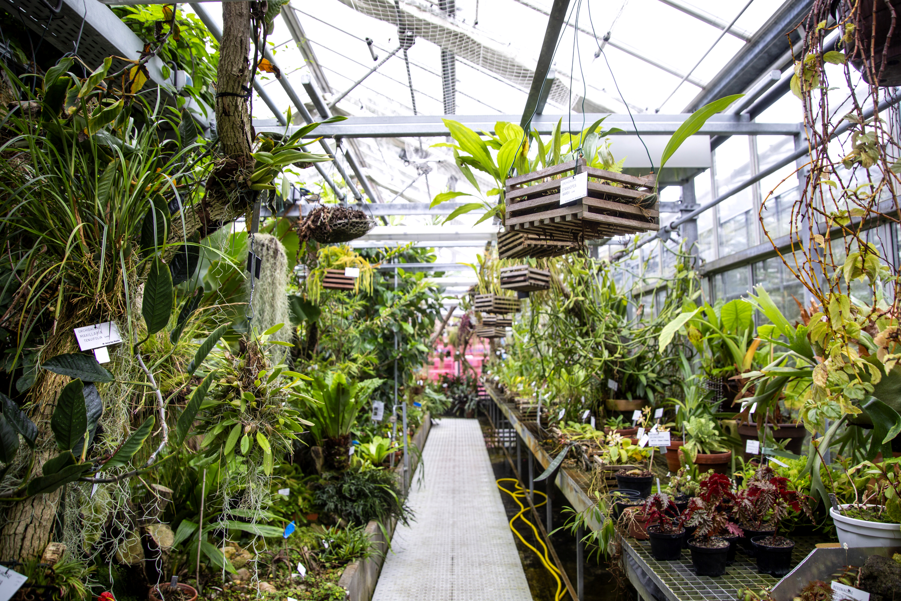 Blick in eines der Gewächshäuser des Botanischen Gartens der Universität Regensburg.